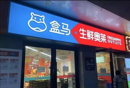 对话盒马侯毅 做企业不赚钱，总归觉得是种耻辱——新零售的批发兼零售之道