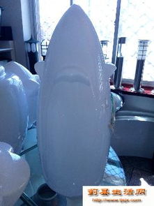 点亮生活，从专业路灯批发到安心食品零售——一站式采购新体验